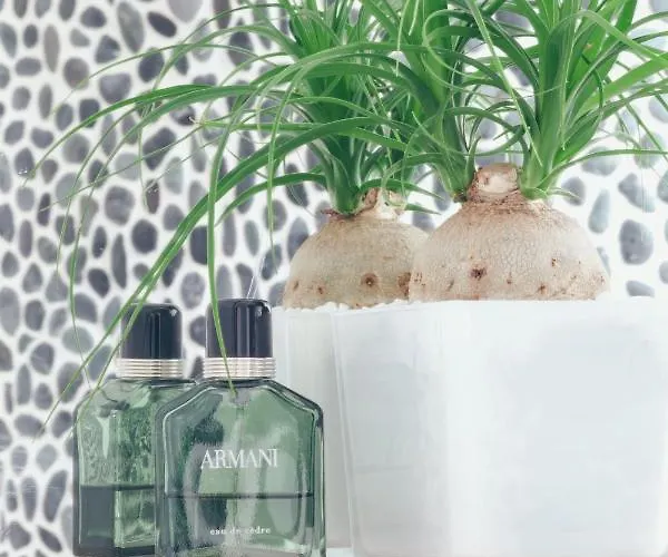 엑셀시어 오페라 3*