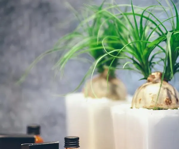 호텔 엑셀시어 오페라