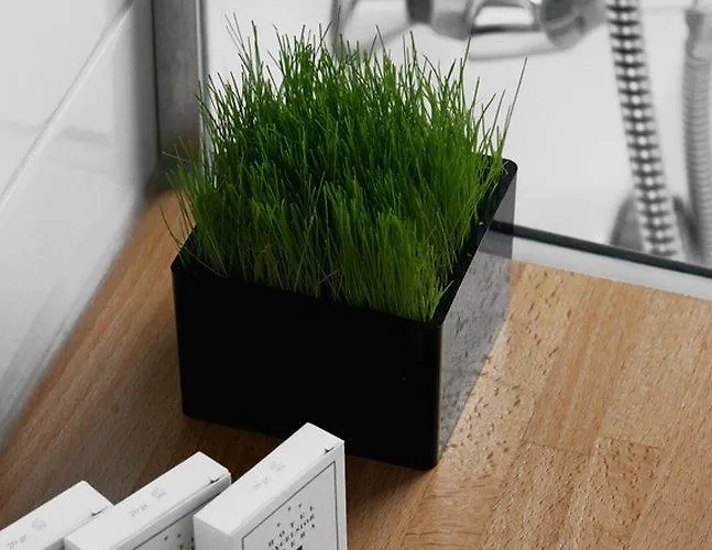 艾克塞西尔剧院酒店 3*