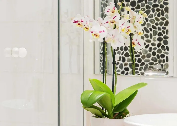 艾克塞西尔剧院酒店 酒店