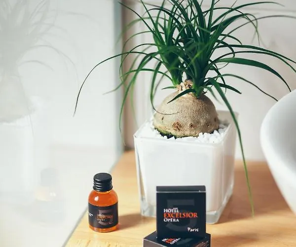 Hotel Excelsior Opera