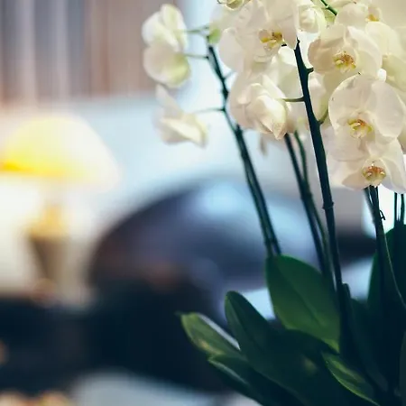 엑셀시어 오페라 파리